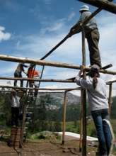 Organic Urban Agriculture in Ecuador - UVA/NCSU