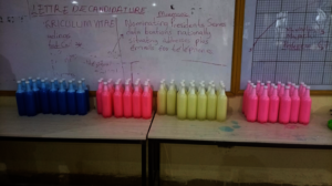 Project Implementation Phase Sample