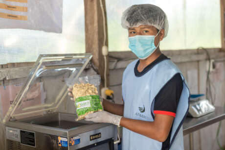 Help Amazonians Turn Bananas into Jobs