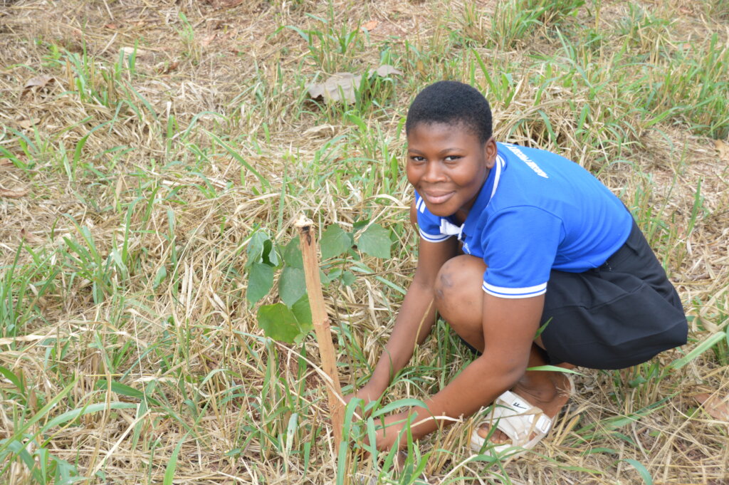 Planting of Trees