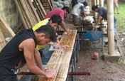 Bamboo Forest Development in Nicaragua-ASU/Cornell