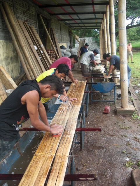 Bamboo Forest Development in Nicaragua-ASU/Cornell