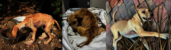The positive impact your donations had on Libby