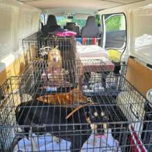 The rescue van