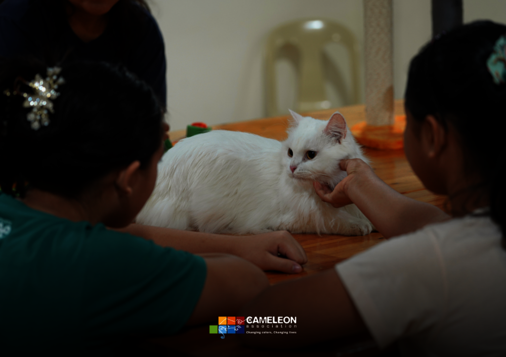 Healing Trauma Through Animal-Assisted Therapy