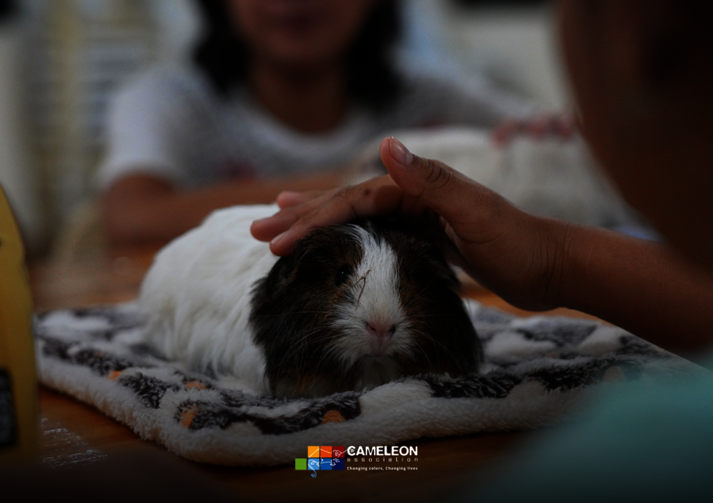 Healing Trauma Through Animal-Assisted Therapy