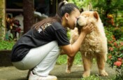 Healing Trauma Through Animal-Assisted Therapy