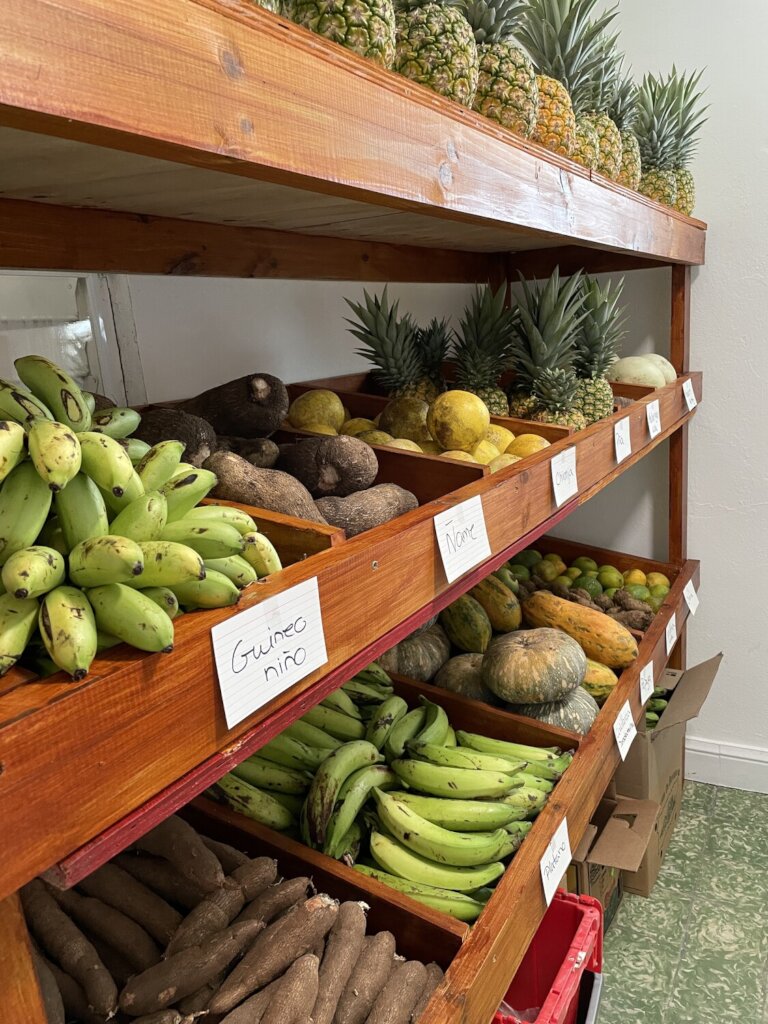 Strengthening Puerto Rico's Farmers & Food System