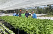 Strengthening Puerto Rico's Farmers & Food System