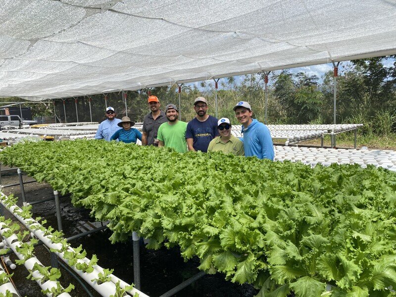Strengthening Puerto Rico's Farmers & Food System