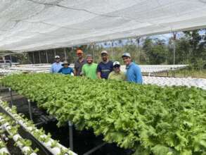 Strengthening Puerto Rico's Farmers & Food System