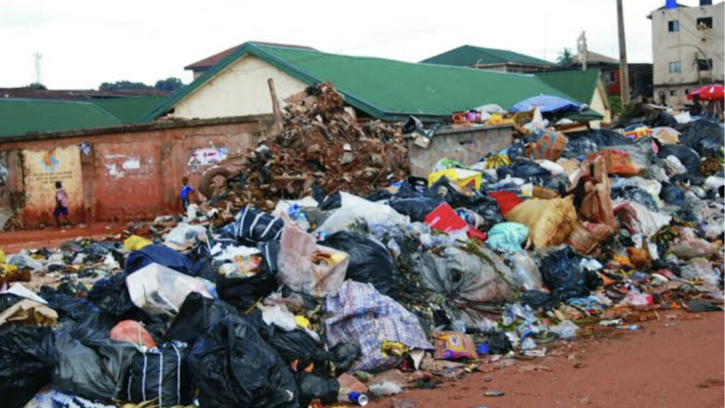 Street Clean-Up Against Neglected Tropical Disease
