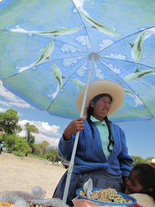 Primary Health Care Clinic for 10000 Peruvians-OSU