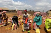 Feed Displaced Christian Families in Plateau State