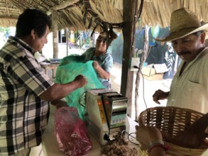 Ginning for planting in 2026
