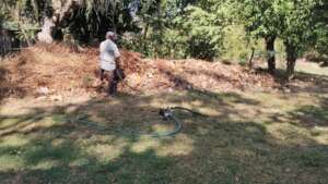 Watering the compost