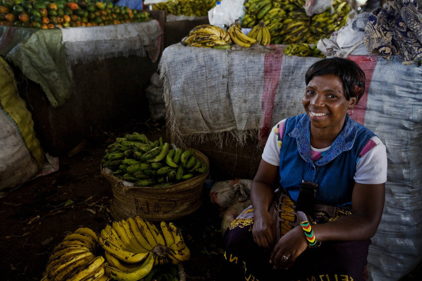 Empower Mothers in Tanzania with Microloans