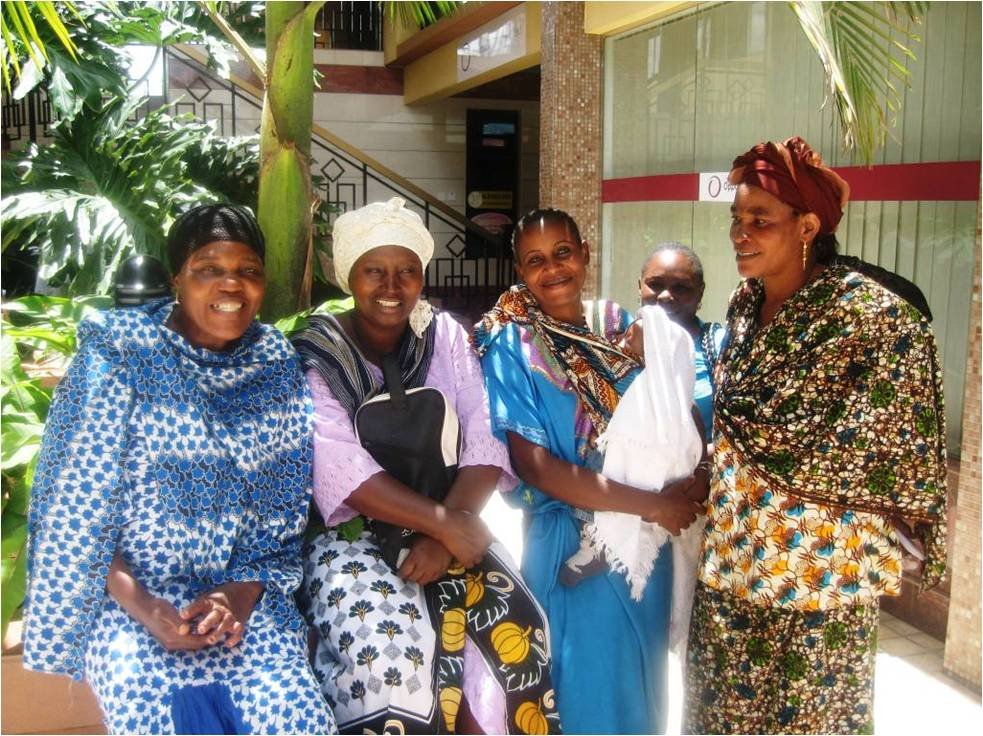 Empower Mothers in Tanzania with Microloans