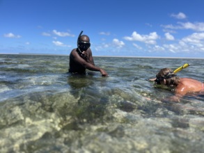Seahorse Tourism in Action!