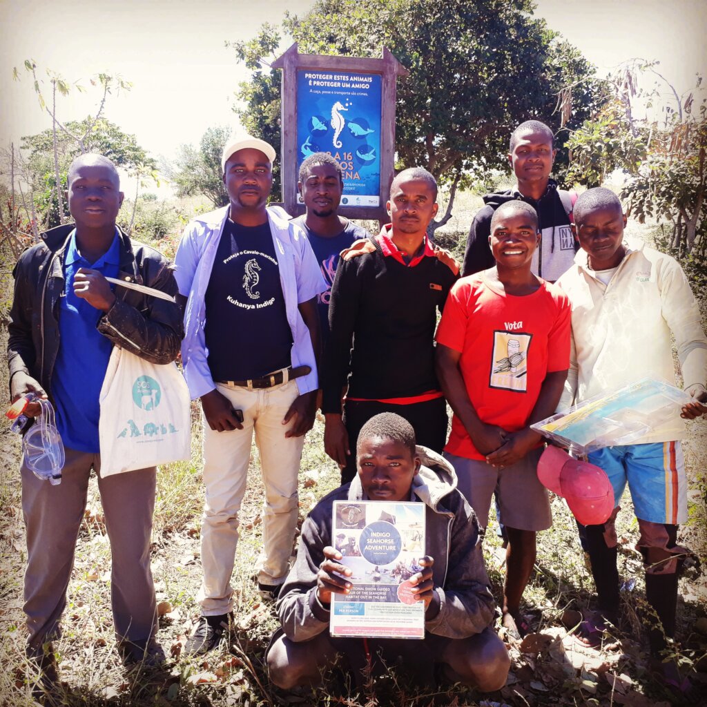 Seahorse Protection through Ecotourism