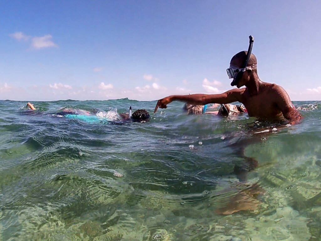 Seahorse Protection through Ecotourism