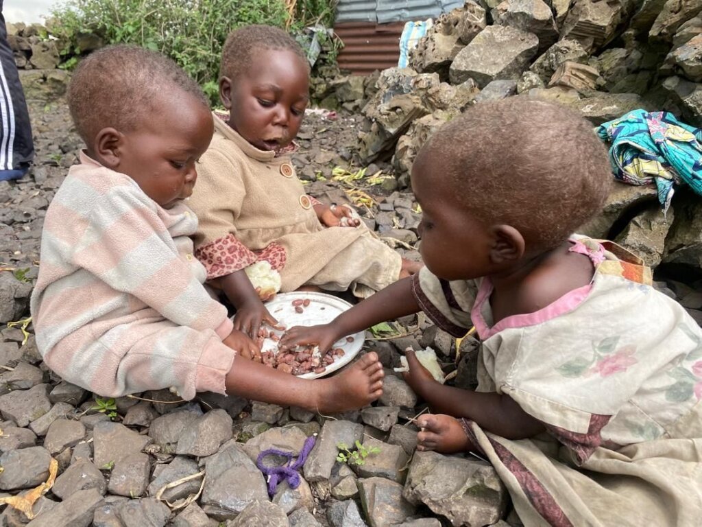 Save Three Malnourished Babies in Congo
