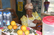 Fruit Tree Cultivation in Cameroon- UT
