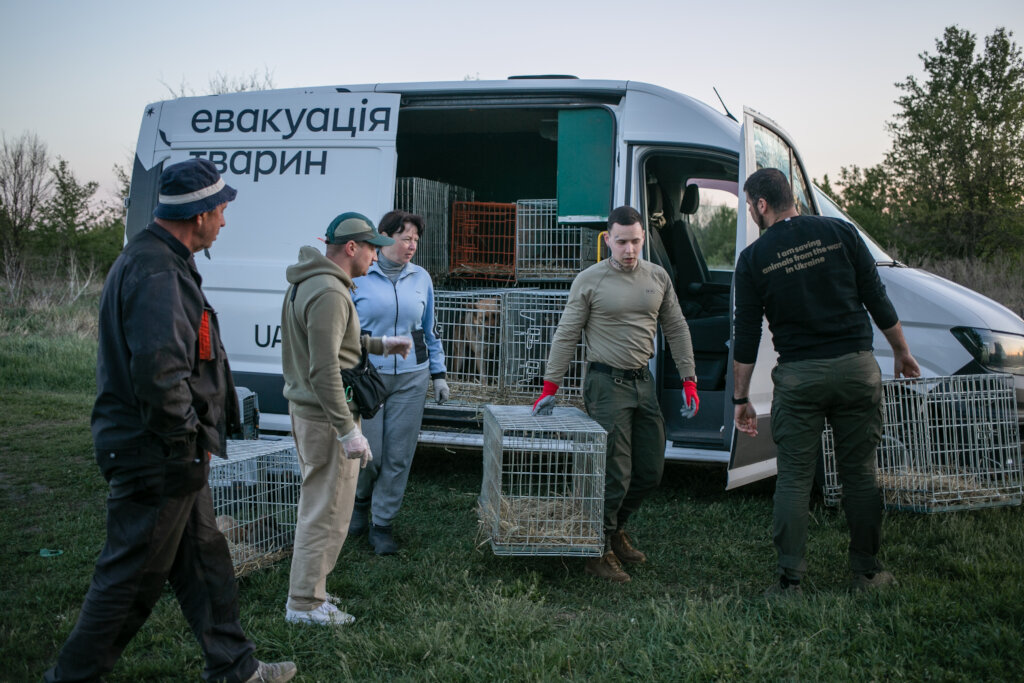 Past evacuation mission