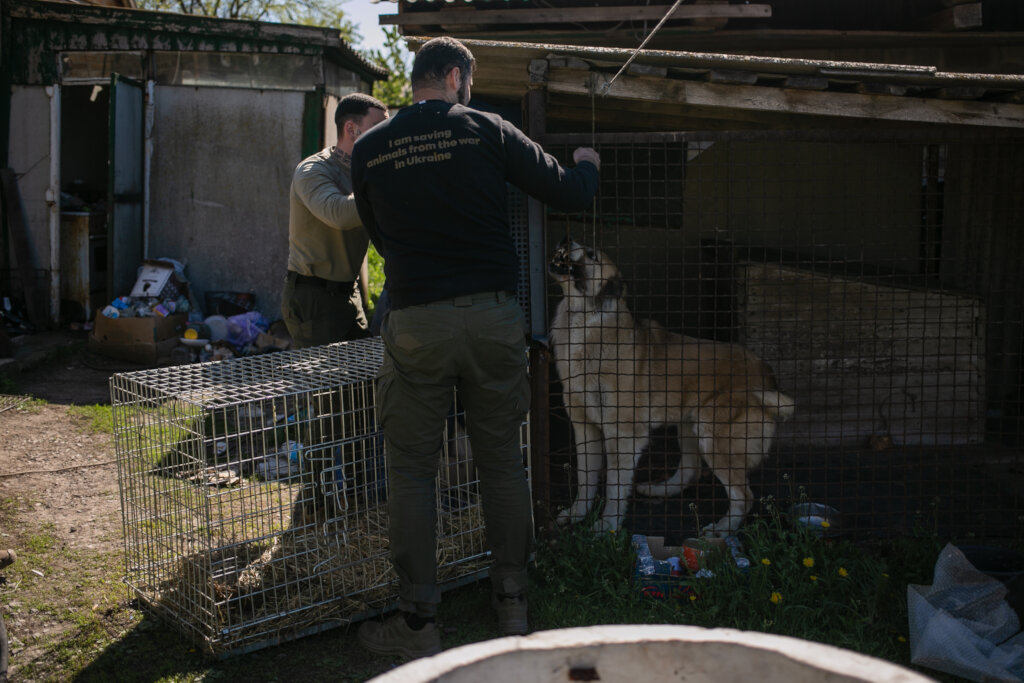 Urgent: Animal Evacuation Vehicle Replacement