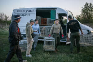 Past evacuation mission