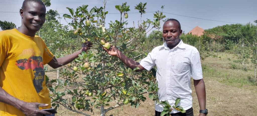 Support Community Planting Fruit Trees in Uganda