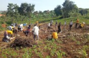 Support Community Planting Fruit Trees in Uganda