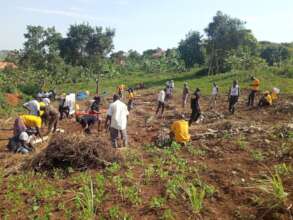 Support Community Planting Fruit Trees in Uganda