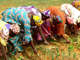 Empowering Vulnerable Women and Girls in Fizi
