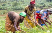 Empowering Vulnerable Women and Girls in Fizi