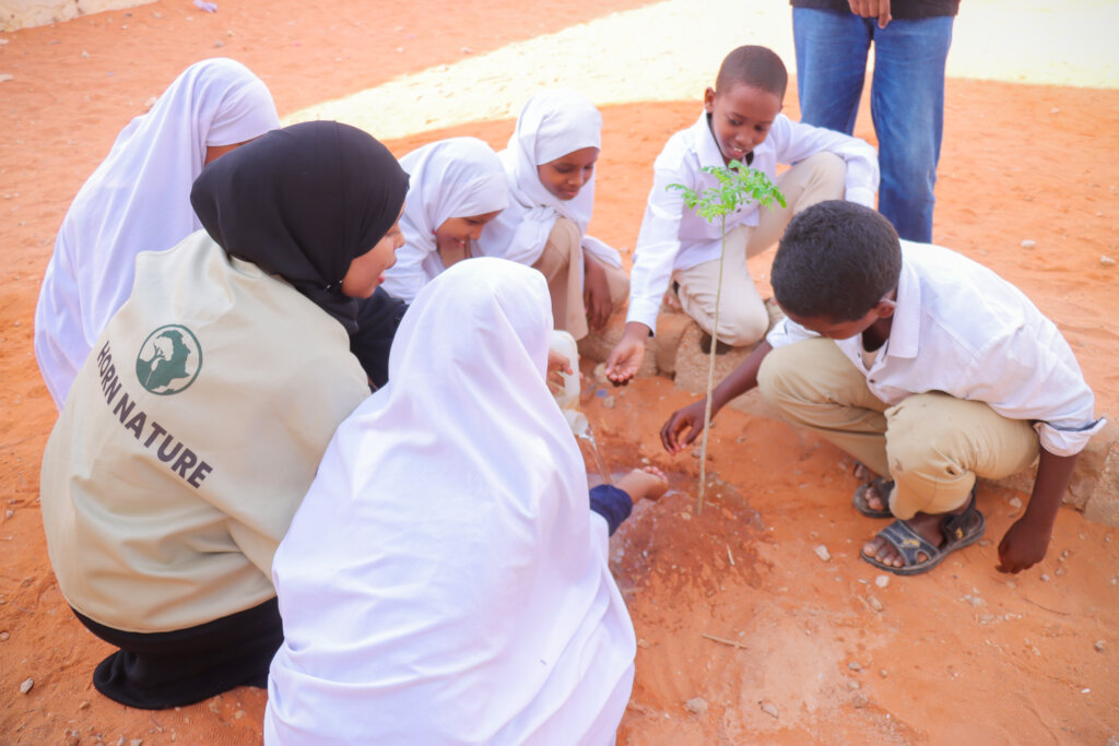 Greening Galkaio, Somalia through School Eco-club