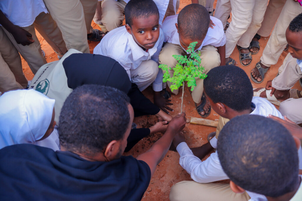 Greening Galkaio, Somalia through School Eco-club