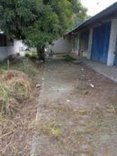 cleaning undergrowth in the surrounding area