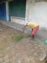 clearing undergrowth in the surrounding area