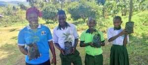 PLANE Staff and children Planting Trees in Schools