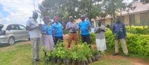 PLANE Staff and Teachers During Tree Planting