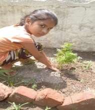 Planting trees on Earth Day