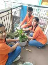 Celebrating Environment Day
