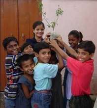 World Environment day