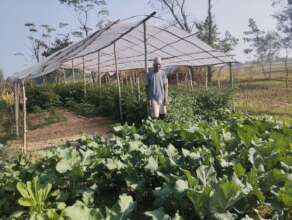 Organic Vegetable farming