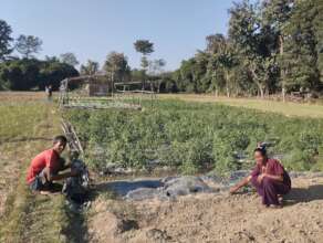 Offseasonal vegetable farming b