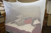Direct-to-Door Malaria Nets Distribution in Slums