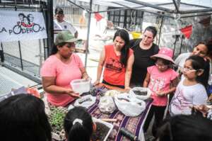 Training in agroecological gardening