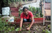 Food sovereignty and decent work