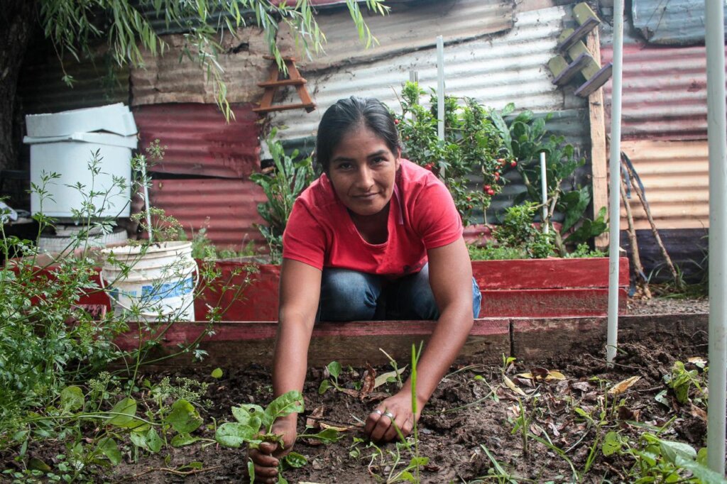 Food sovereignty and decent work